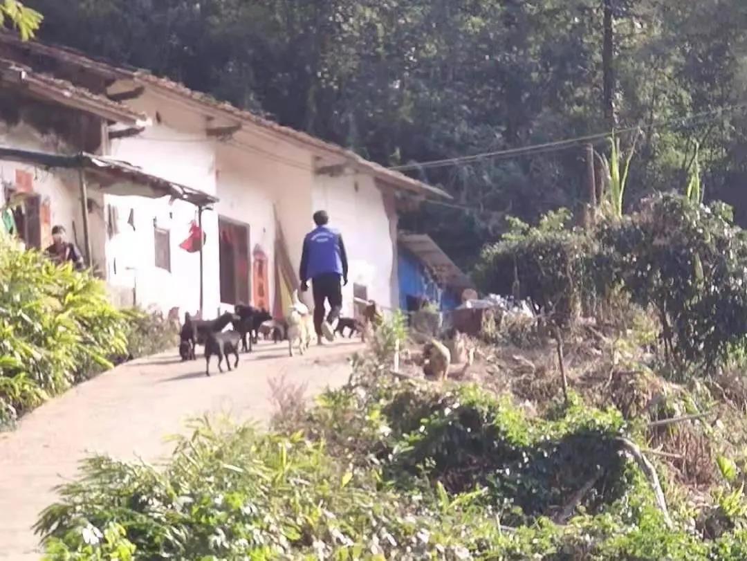 阳春房地一体项目纪实丨无悔青春多砥砺，最是奋斗动人心