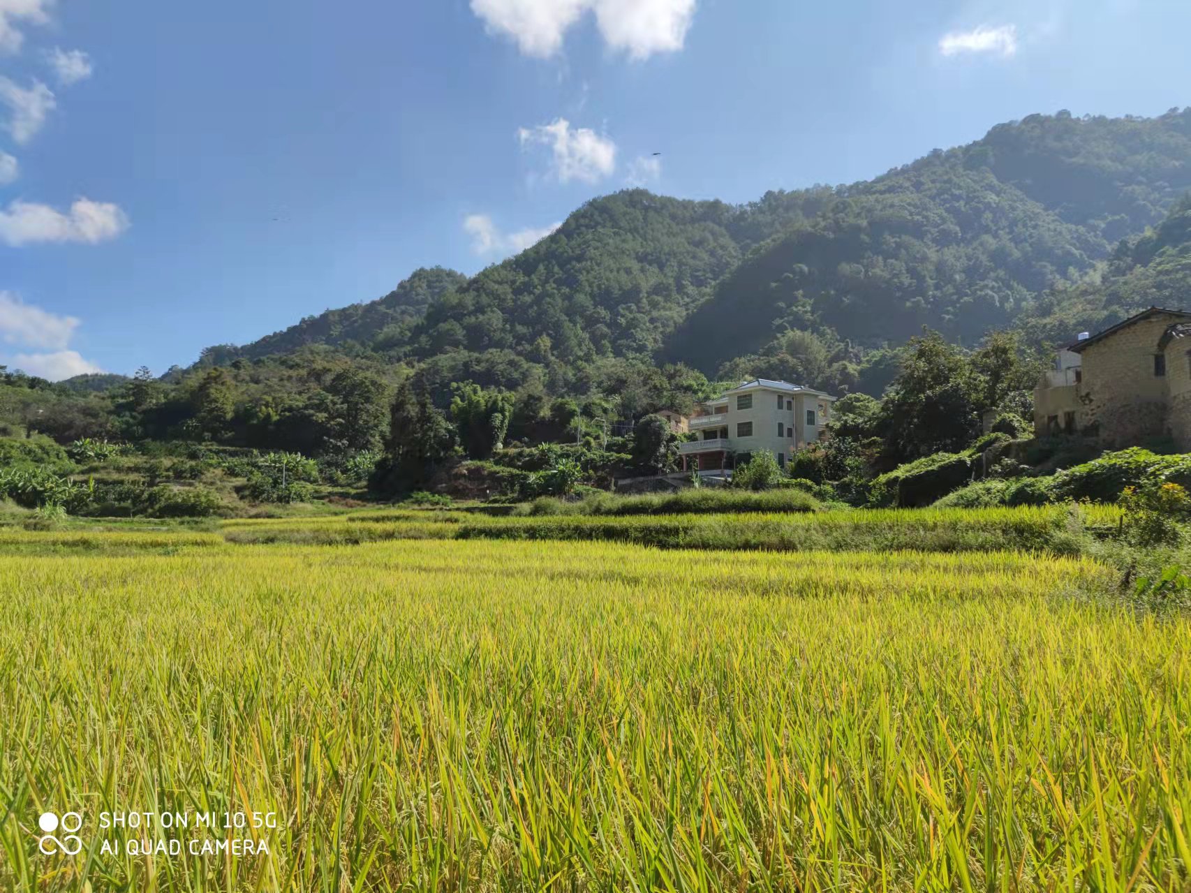 复原（补充）耕地项目怎么干？人生就是博官网有话说