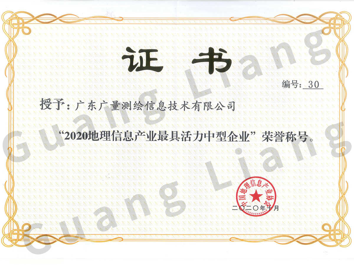 2020年地理信息产业最具活力中型企业