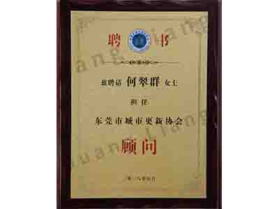 东莞市城市更新协会照拂