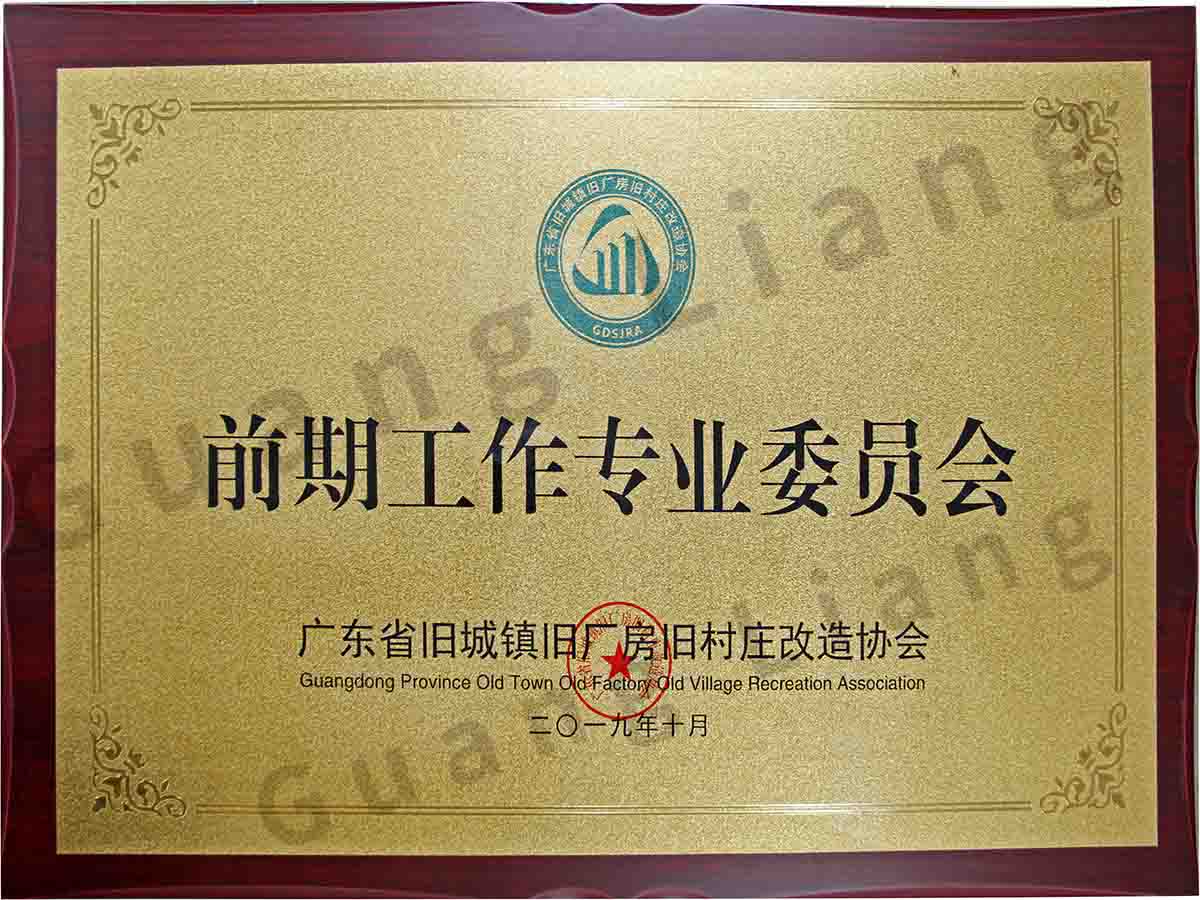 广东省旧城镇旧厂房旧村庄刷新协会前期工作专业委员会主任委员