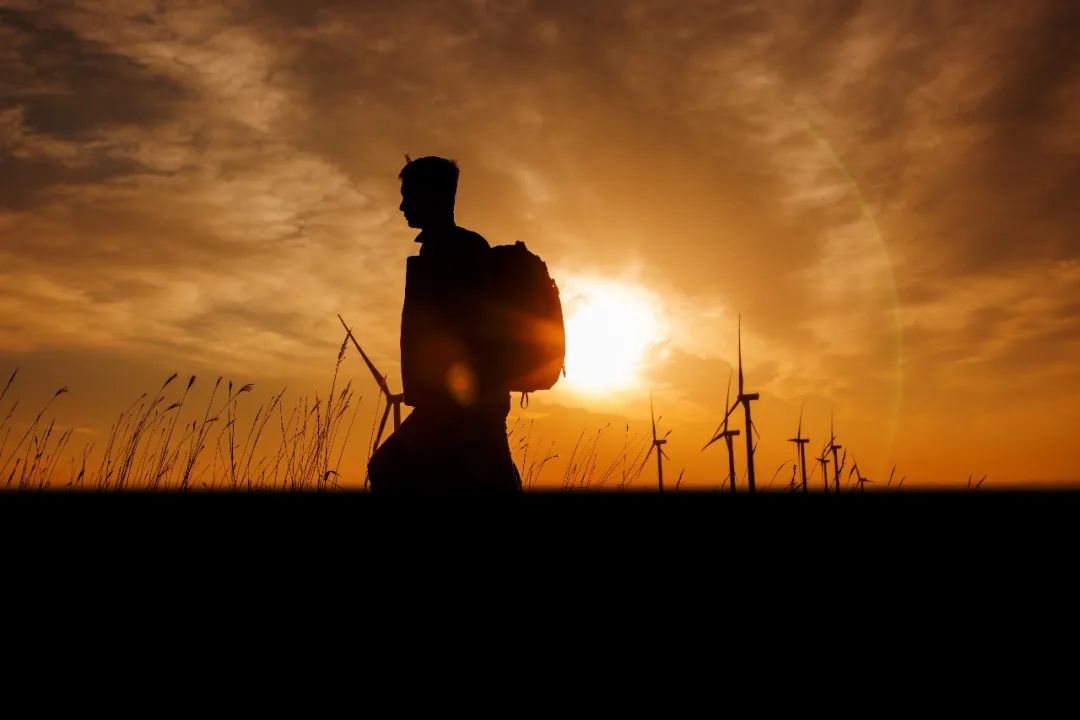 人生就是博官网12周年征文丨一等奖《此心安处是吾乡》