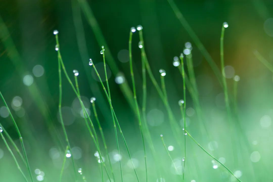 员工随笔丨今日有雨