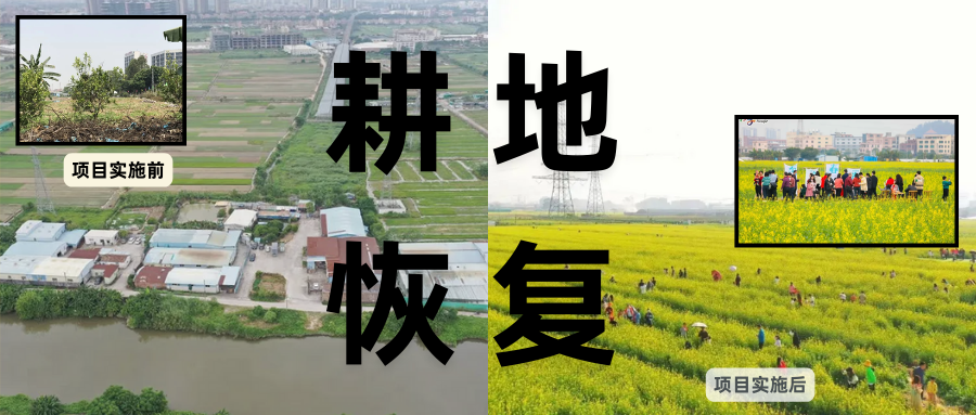 耕地；び刖梅⒄构踩凇甘泻窠终蛩谏缜读继锵钅扛馗丛氤窍缛诤系拇葱率导