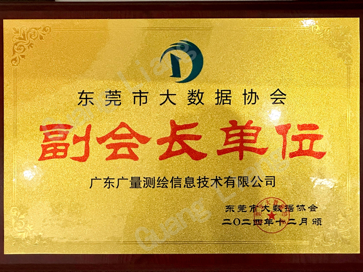东莞市大数据协会