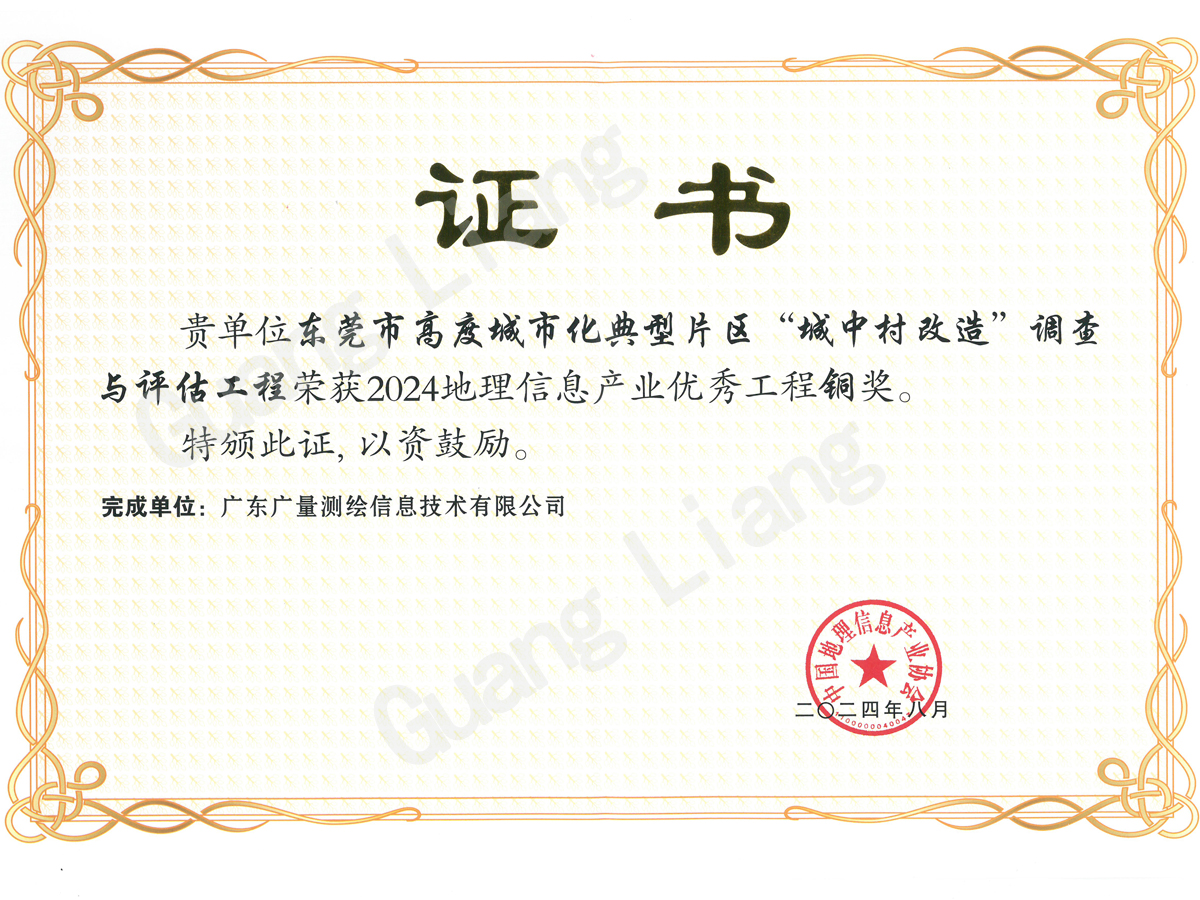 （公司奖）城中村刷新优良工程奖